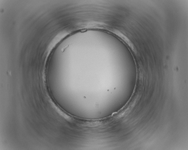 X0000074301285200609151932