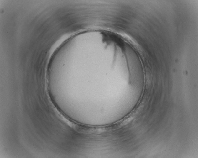 X0000074301286200609151932