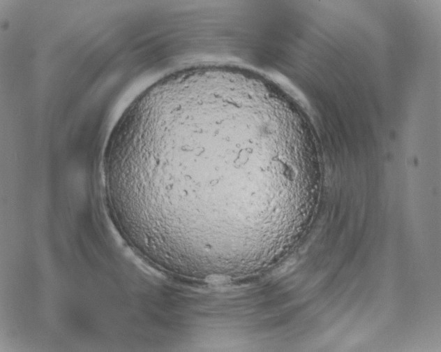 X0000074301287200609151932