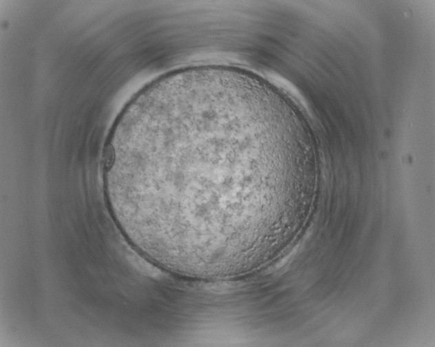 X0000074301288200609151932