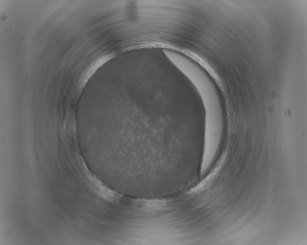 X0000074301289200609151932