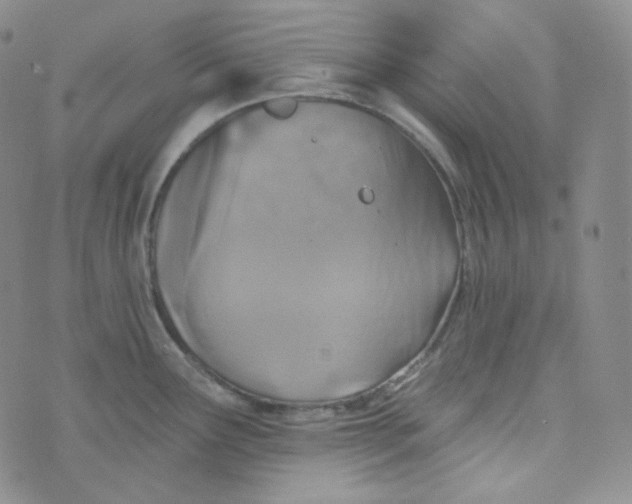 X0000074301291200609151932