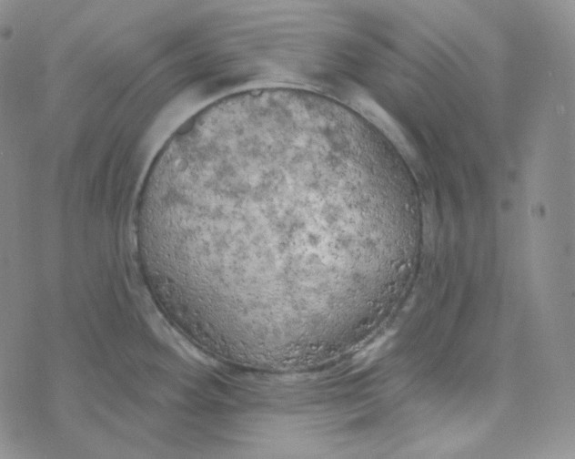 X0000074301292200609151932