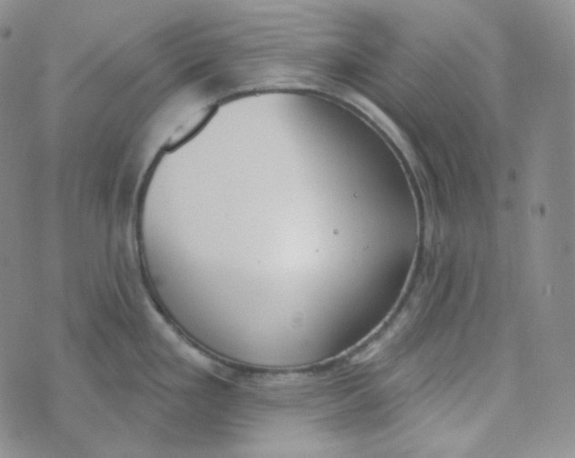 X0000074301293200609151932