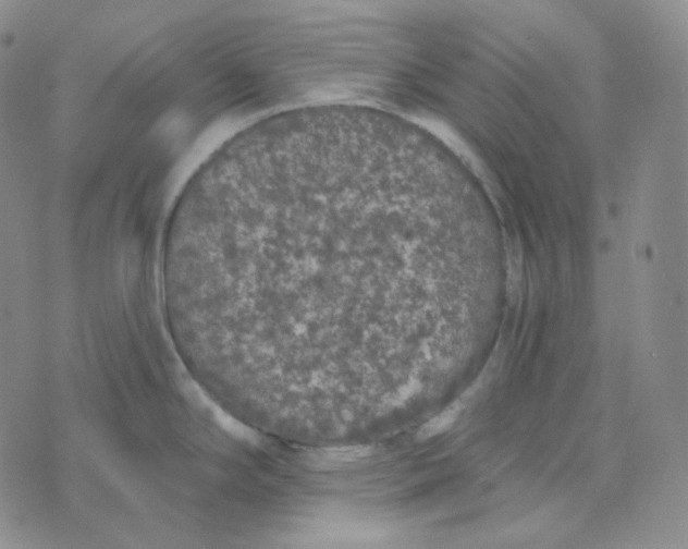 X0000074301294200609151932