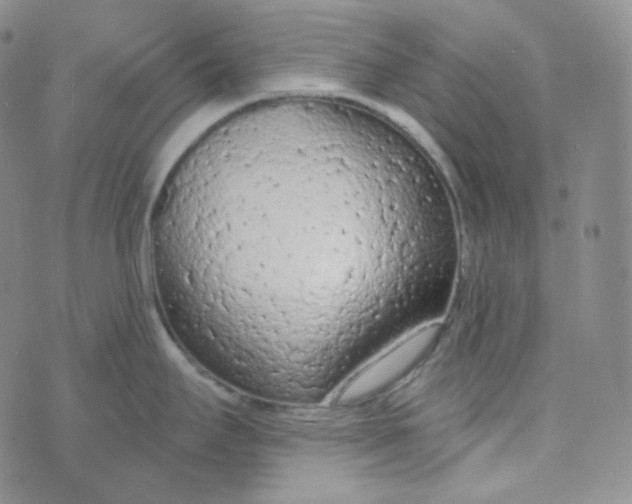 X0000074301295200609151932