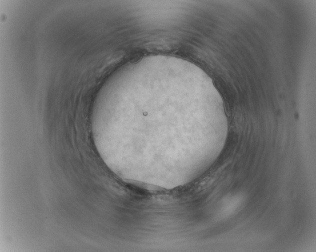 X0000074301297200609151932