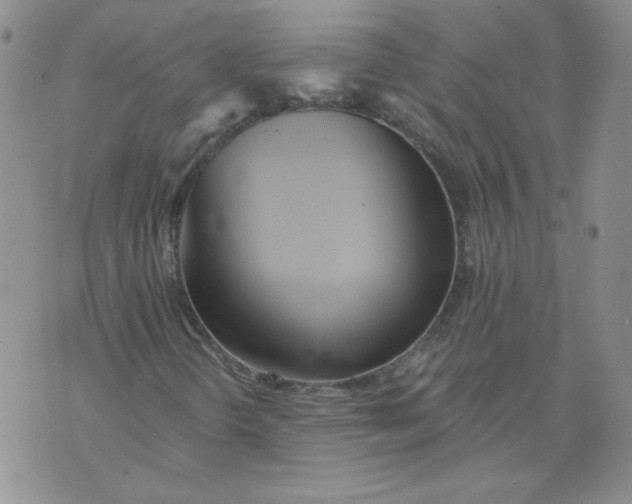 X0000074301298200609151932