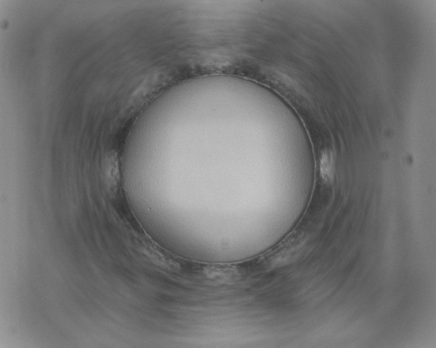 X0000074301299200609151932