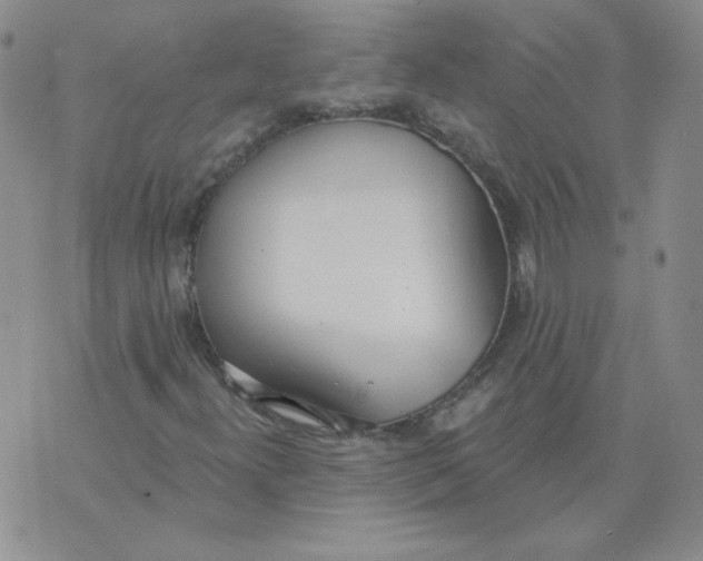 X0000074301300200609151932