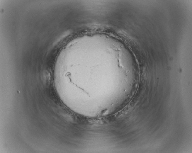 X0000074301302200609151932