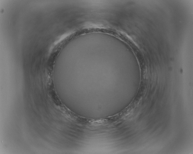 X0000074301303200609151932