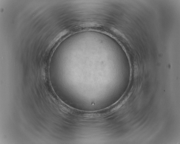 X0000074301305200609151932