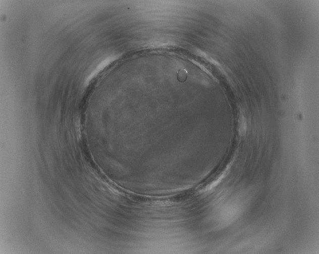 X0000074301306200609151932