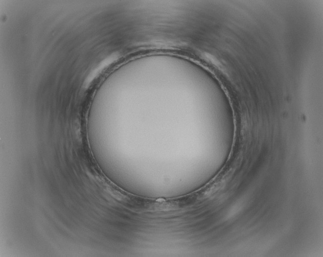 X0000074301307200609151932