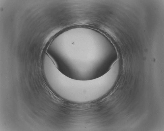 X0000074301308200609151932