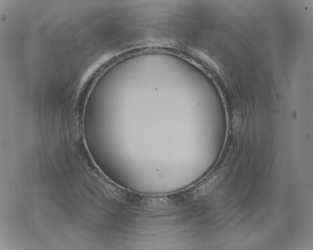 X0000074301310200609151932