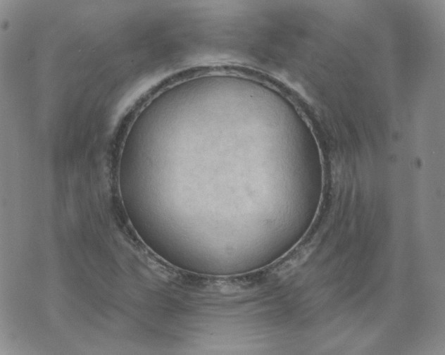 X0000074301311200609151932