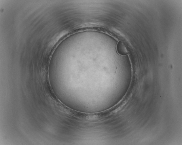 X0000074301313200609151932