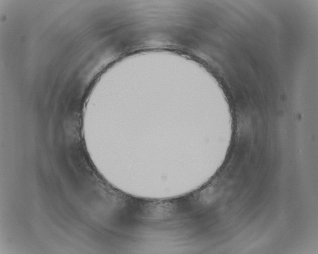 X0000074301314200609151932