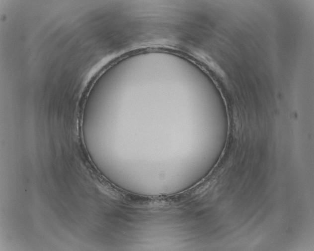 X0000074301316200609151932