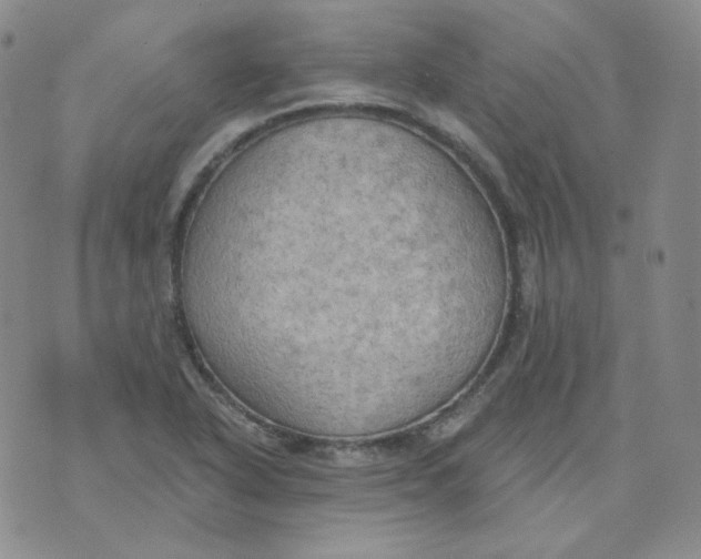 X0000074301318200609151932