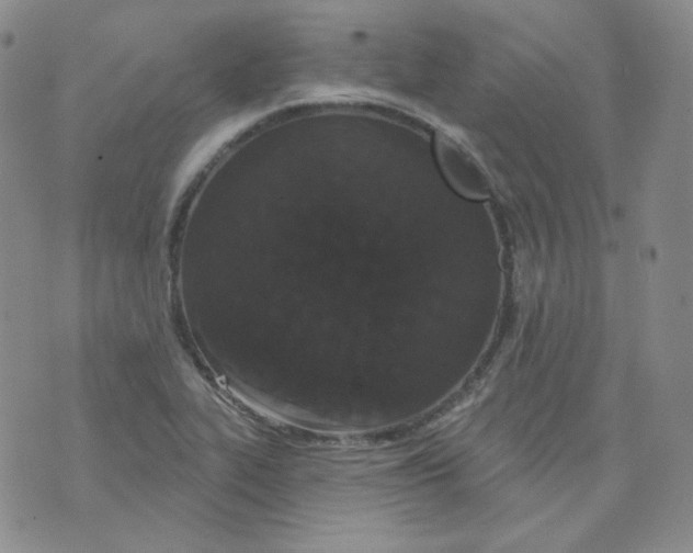 X0000074301319200609151932