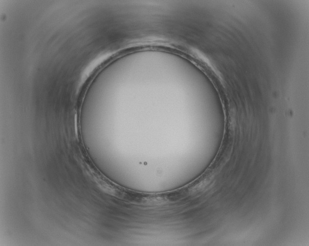 X0000074301320200609151932