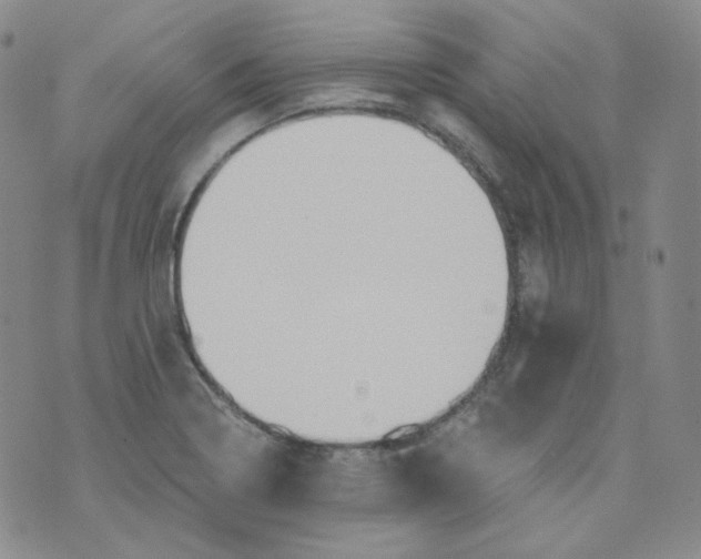 X0000074301322200609151932