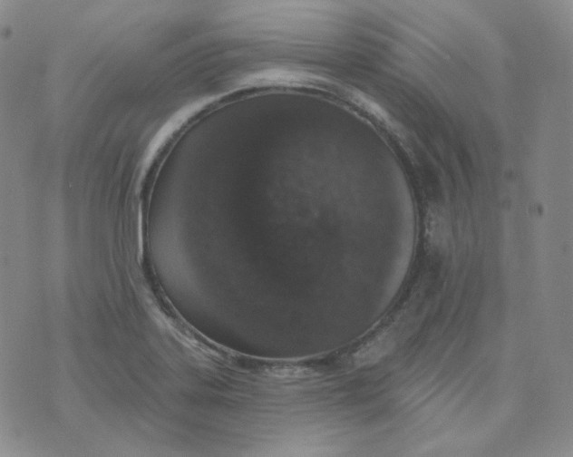 X0000074301323200609151932