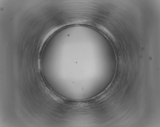 X0000074301324200609151932