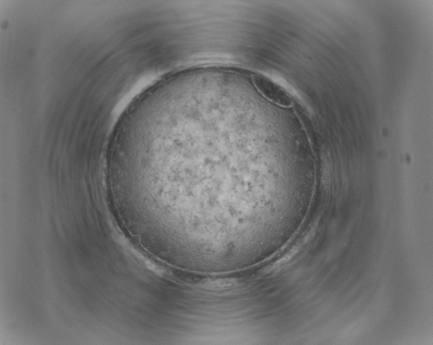 X0000074301325200609151932