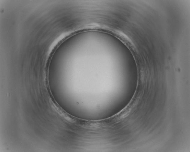 X0000074301326200609151932