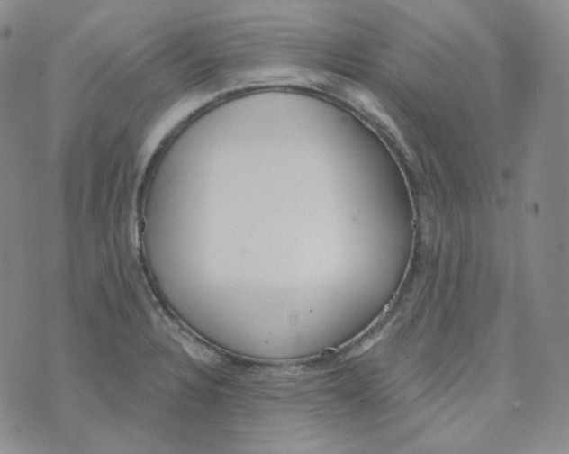 X0000074301328200609151932