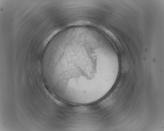 X0000074301329200609151932