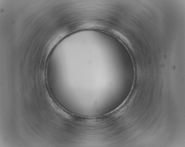 X0000074301330200609151932