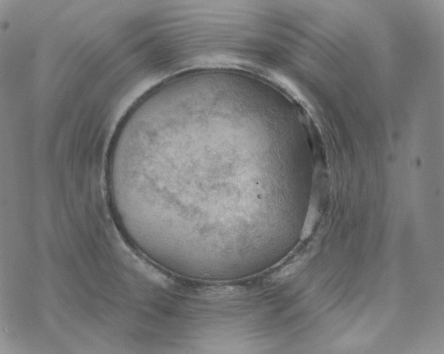 X0000074301331200609151932