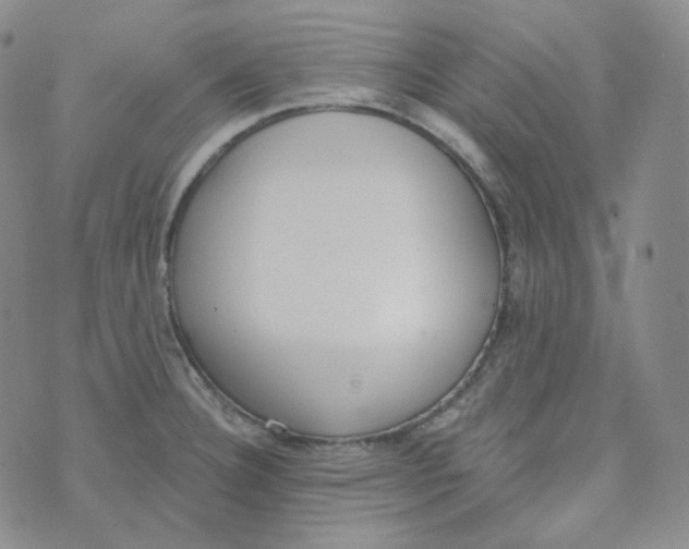 X0000074301332200609151932