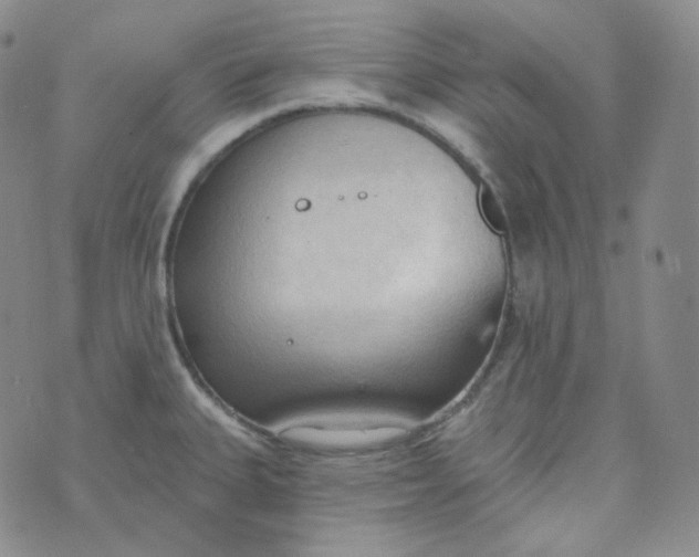 X0000074301335200609151932