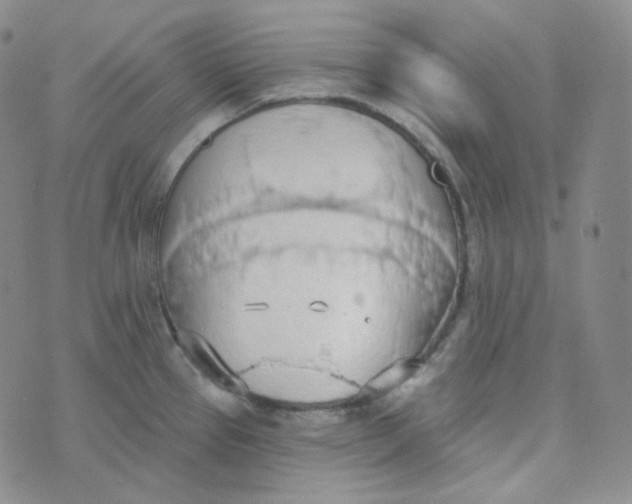 X0000074301337200609151932