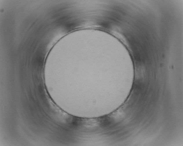 X0000074301338200609151932