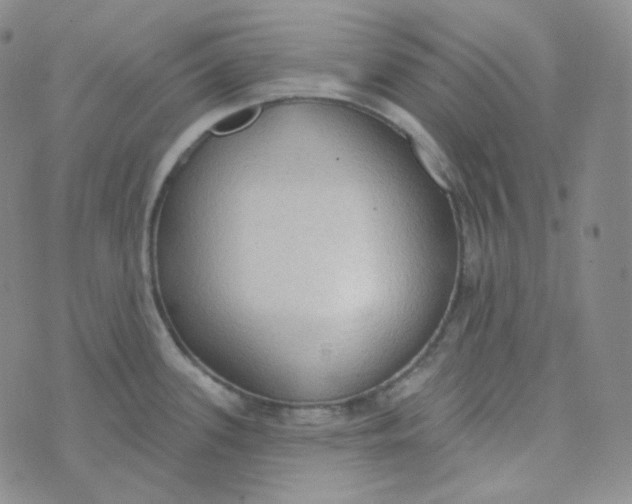 X0000074301339200609151932