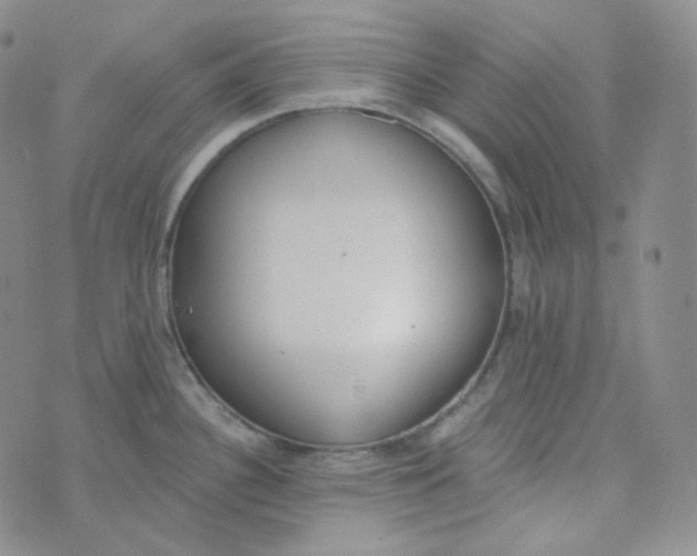 X0000074301340200609151932