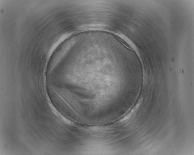 X0000074301341200609151932