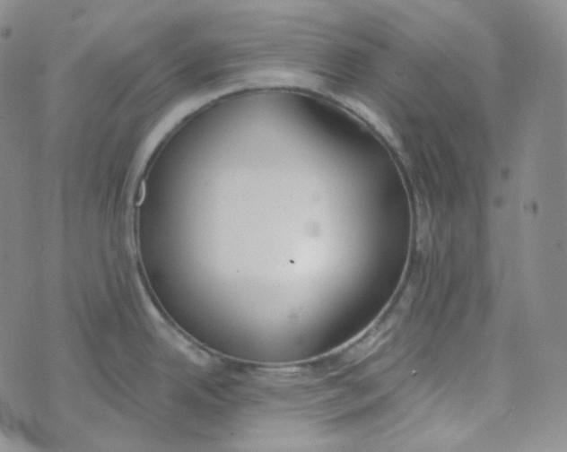 X0000074301342200609151932