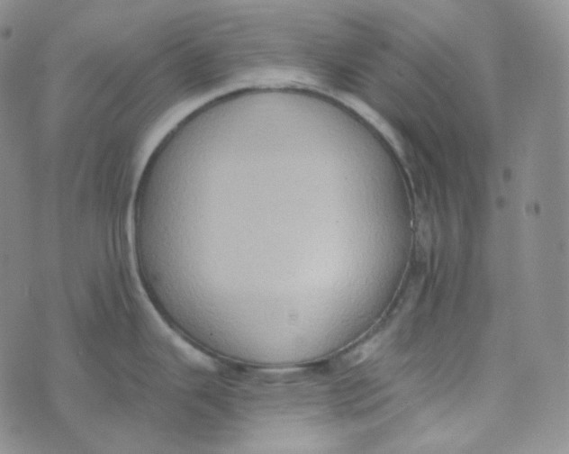 X0000074301343200609151932