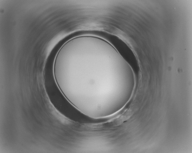 X0000074301344200609151932