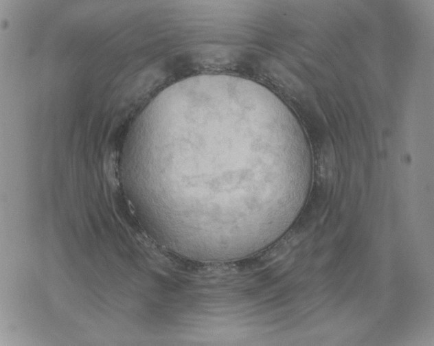 X0000074301346200609151931