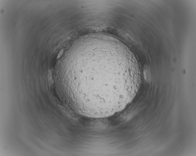 X0000074301347200609151931