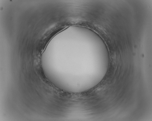 X0000074301349200609151931